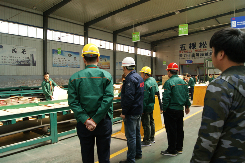 五棵松集團(tuán)《安全生產(chǎn)標(biāo)準(zhǔn)化》企業(yè)評審順利通過