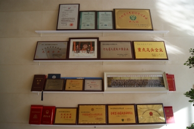 弘揚傳統文化--五棵松一直在路上