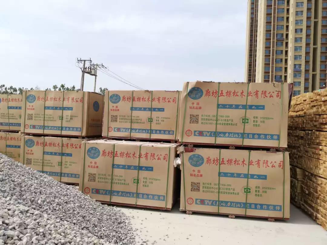 五棵松集團(tuán)助力滄州新地標(biāo)---京貴大廈